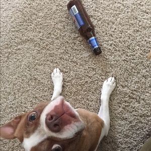 Meet your Posher, Jamie